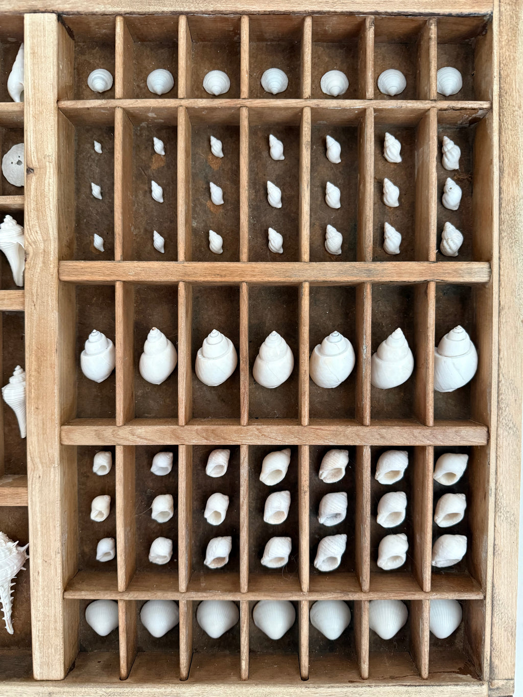 SIGNATURE LETTERPRESS TRAY