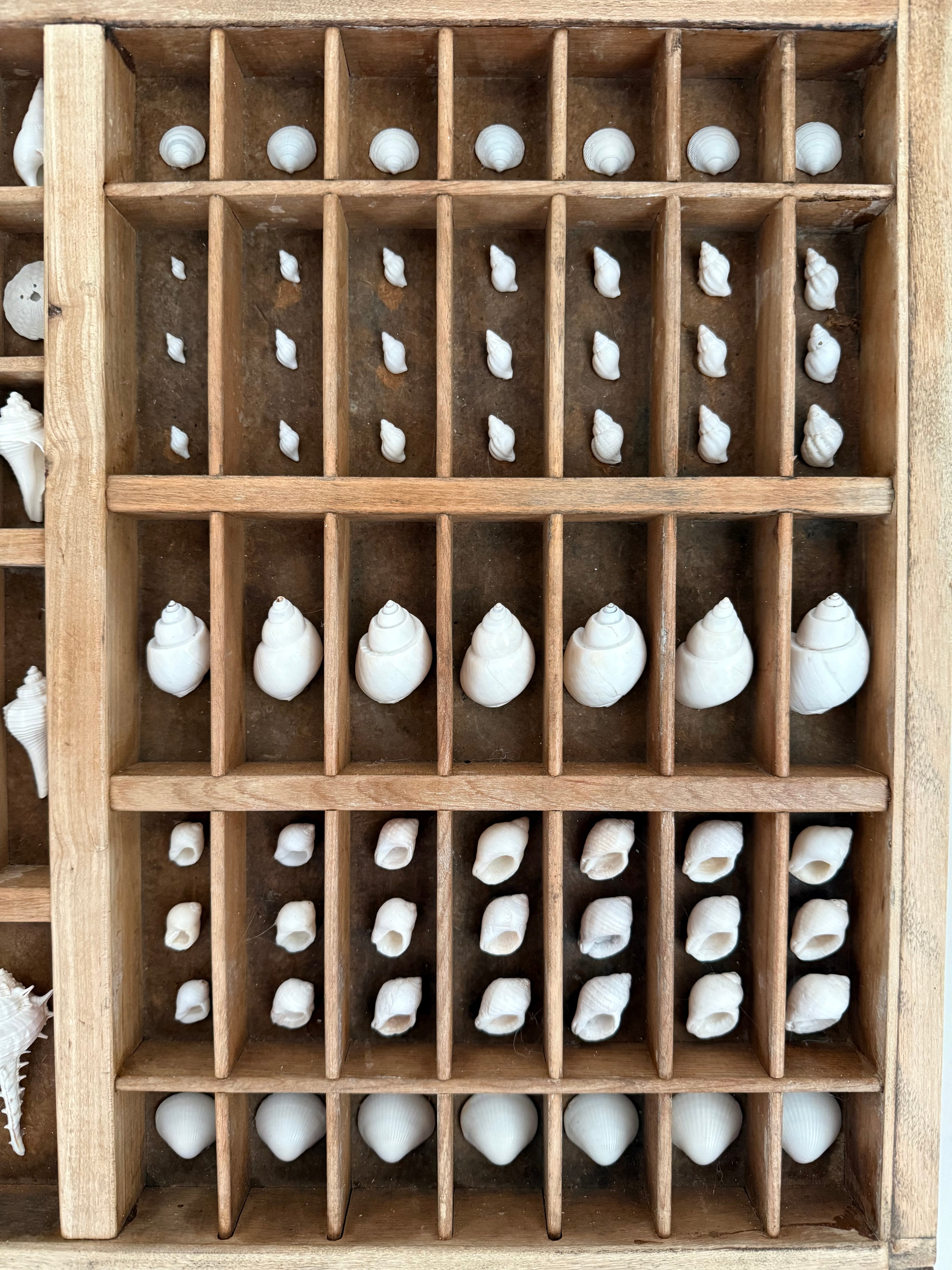 SIGNATURE LETTERPRESS TRAY