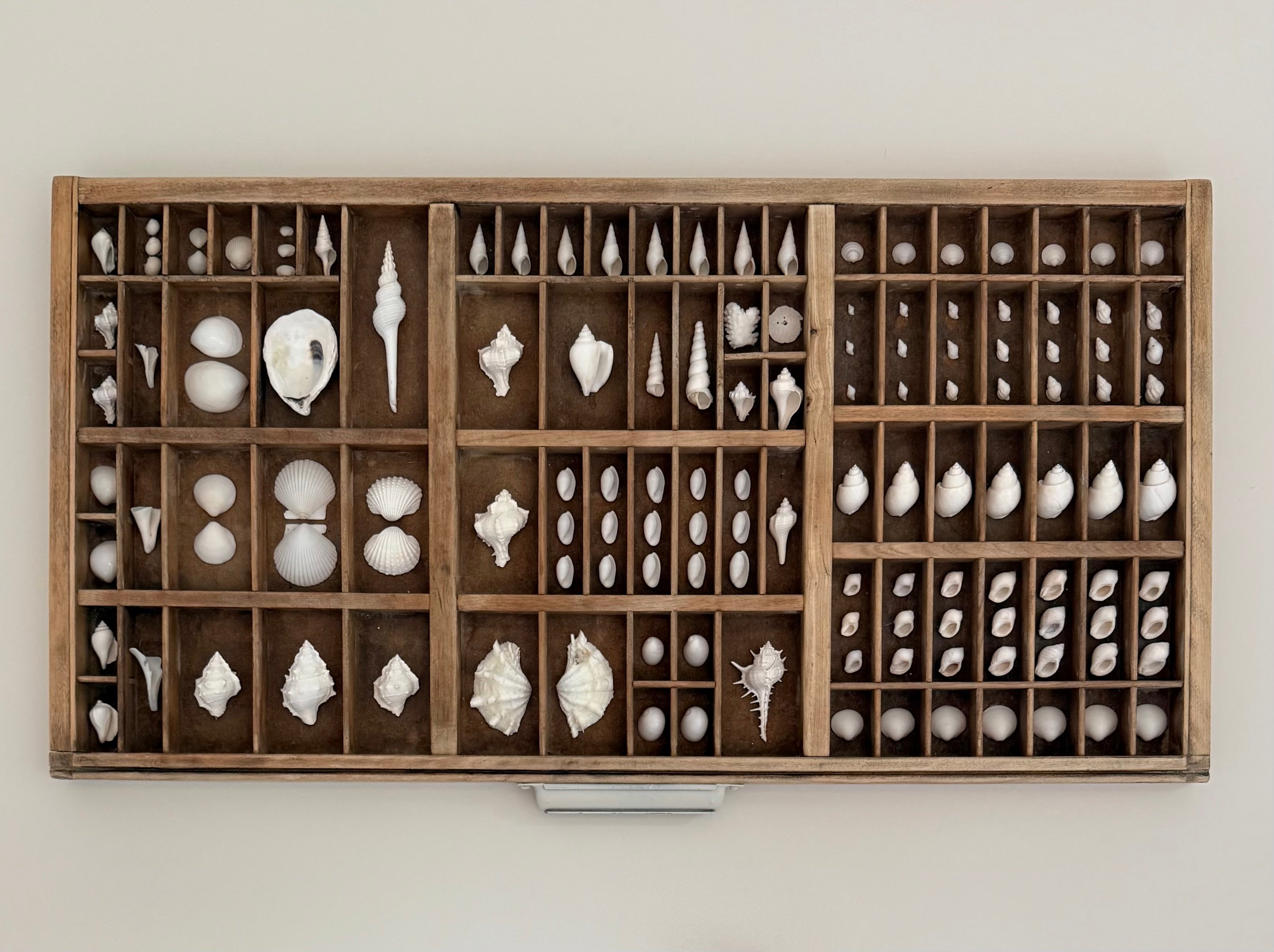 SIGNATURE LETTERPRESS TRAY